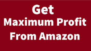how to get maximum profit from amazon